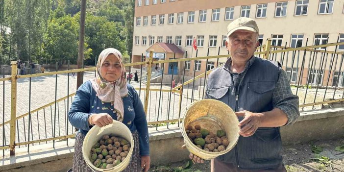 Okul yolunda öğrencilere ceviz ikramı