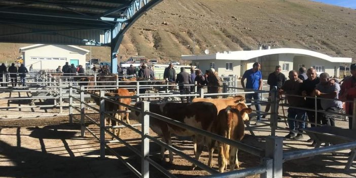 Kars-Sarıkamış hayvan pazarı ilgi bekliyor