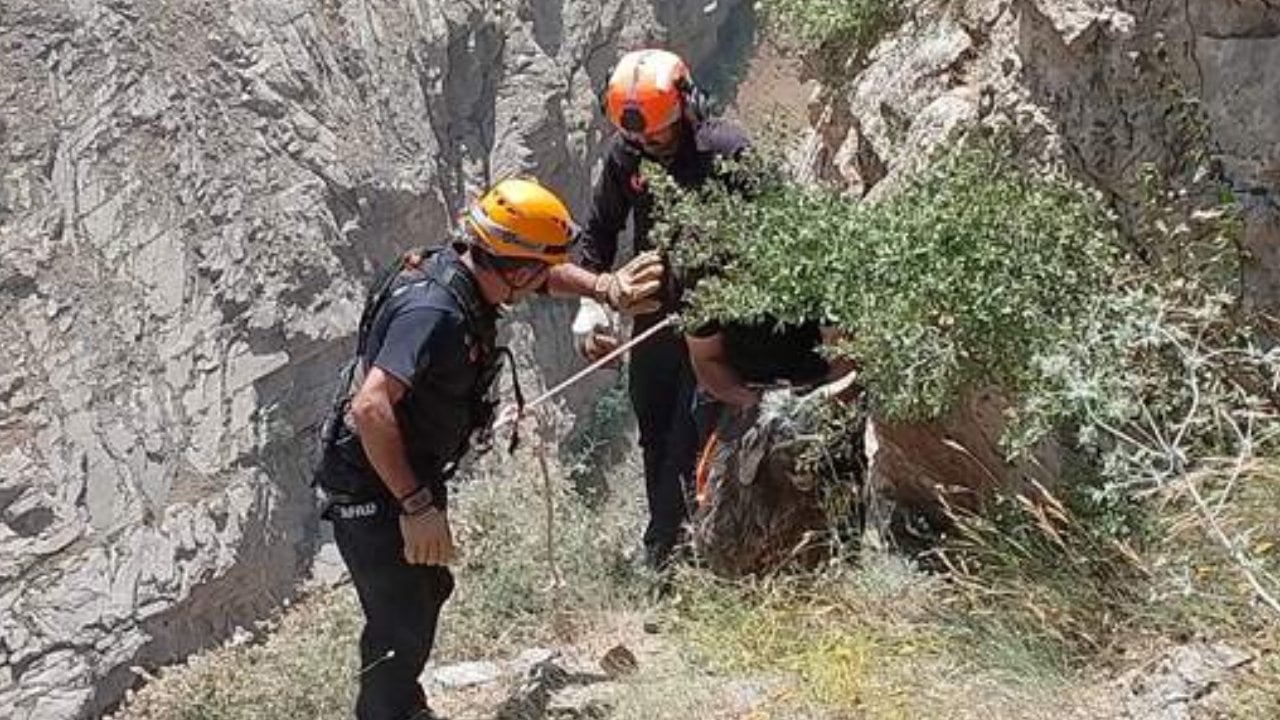 Hakkari'de kayalık alanda mahsur kalan keçi, ekiplerce kurtarıldı.