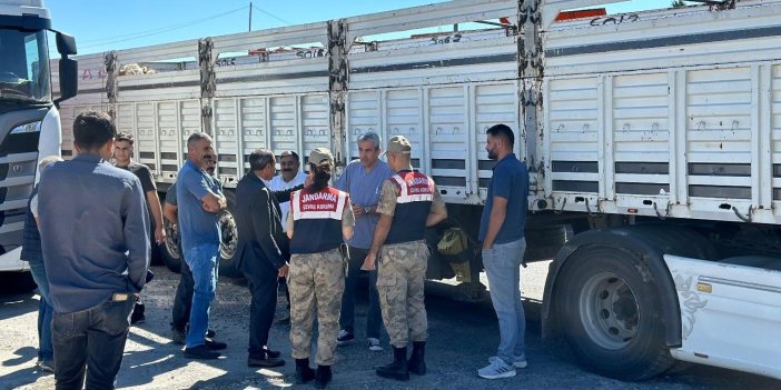 Diyarbakır’da sevk belgesi olmayan hayvanlar kontrole takıldı