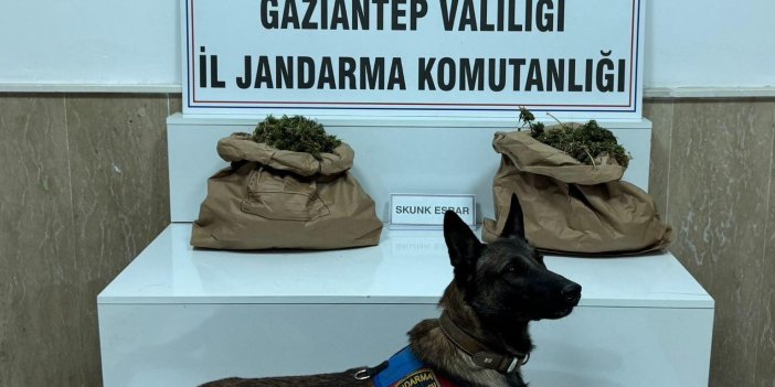 Antep'te uyuşturucu tacirine jandarma baskını