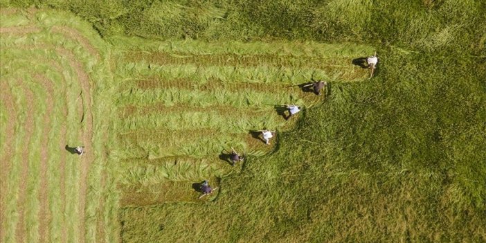 Bakanlık, 98,6 milyon liralık tarımsal destekleme ödemesinin, çiftçilerin hesaplarına aktarıldığını belirtti