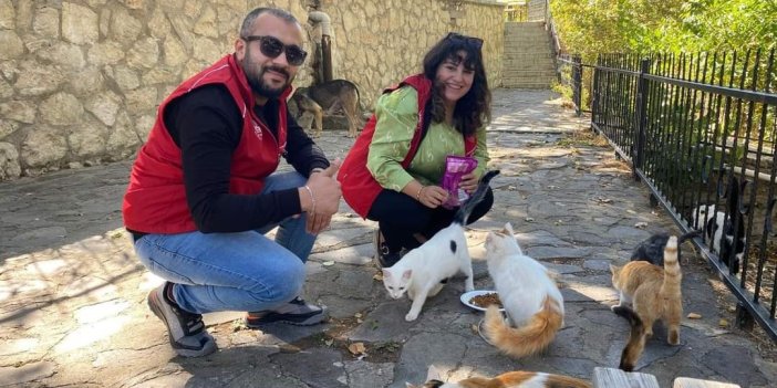 Elazığ’ın genç gönüllüleri sokak hayvanlarına mama desteğinde bulundu