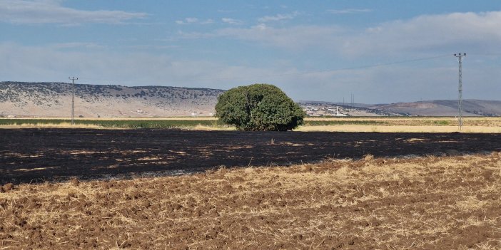 Diyarbakır'da anız yangını