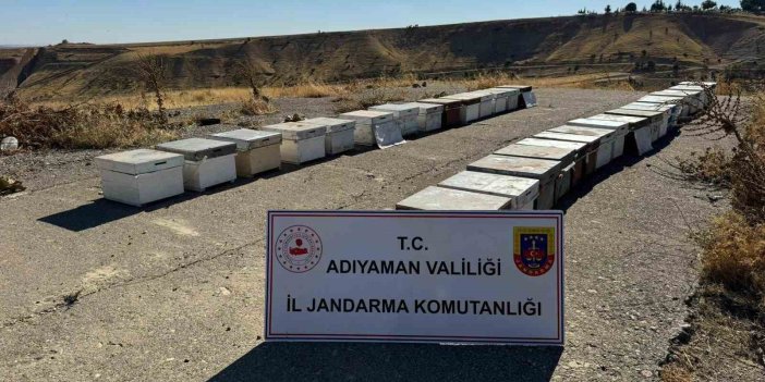 Adıyaman'da arı kovanlarını çalan şahıs yakalandı