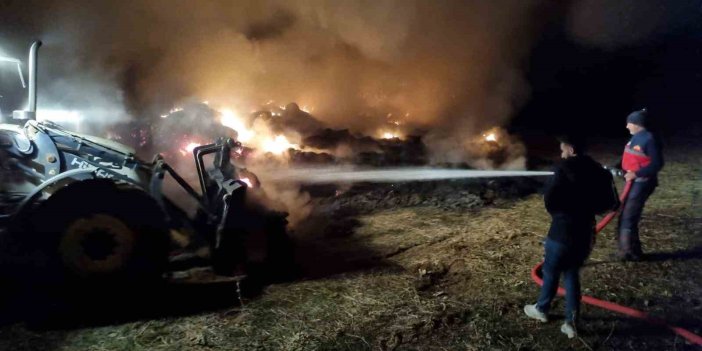 Van’da 9 bin bağ ot küle döndü