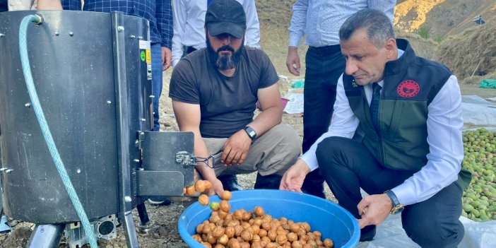 Yüksekova’da modern tarım aletleriyle ceviz hasadı yapıldı