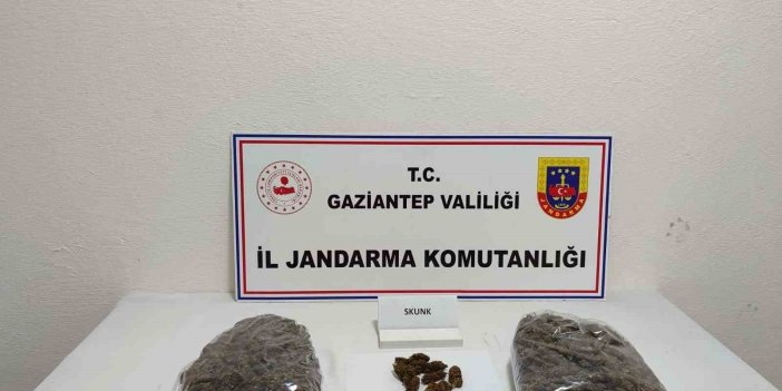 Antep’te 5 kilo skunk ele geçirildi: 1 şahıs tutuklandı