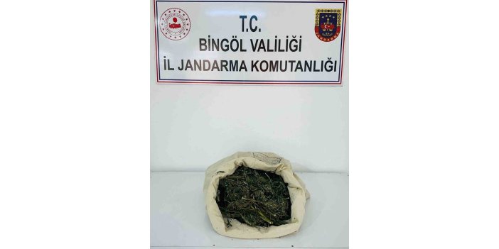 Bingöl’de 1 kilo 975 gram esrar yakalandı