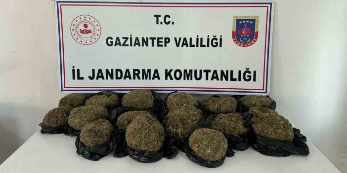 Otobüsün bağajından 18.5 kilo skunk yakalandı