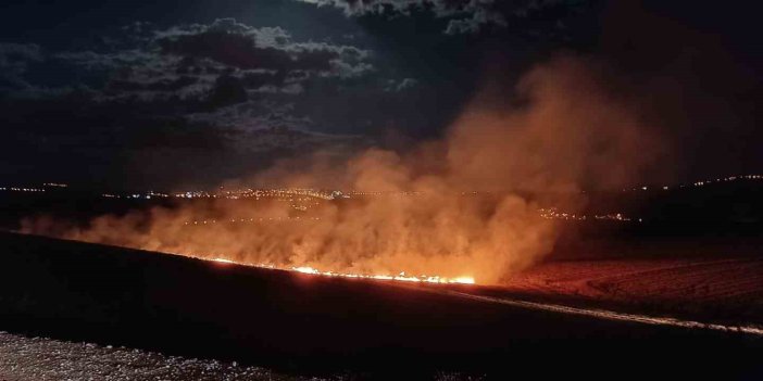 Siirt’te anız yangını çıktı