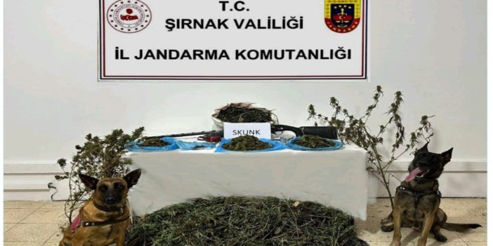 Şırnak’ta kaçakçılıktan 2 kişi tutuklandı