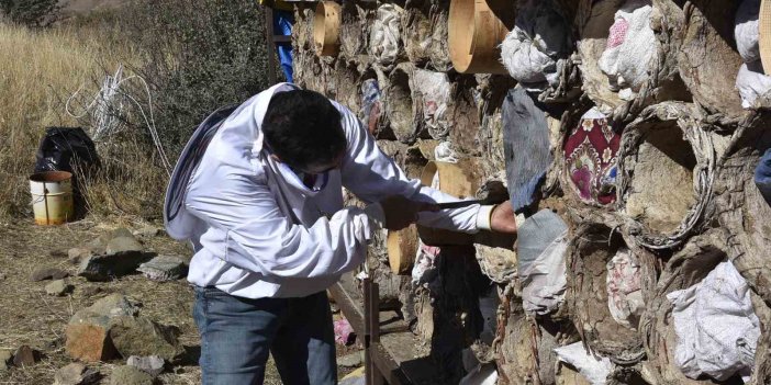 Bitlis’te dünyaca ünlü karakovan balının hasadı sürüyor