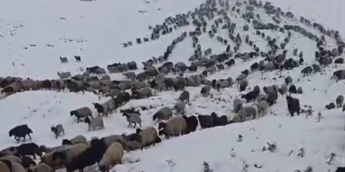 Başkale’de kar yağdı, yollar kapandı