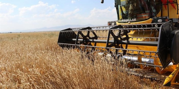 Erzurum’da tarıma tohum ve fide desteği sağlandı