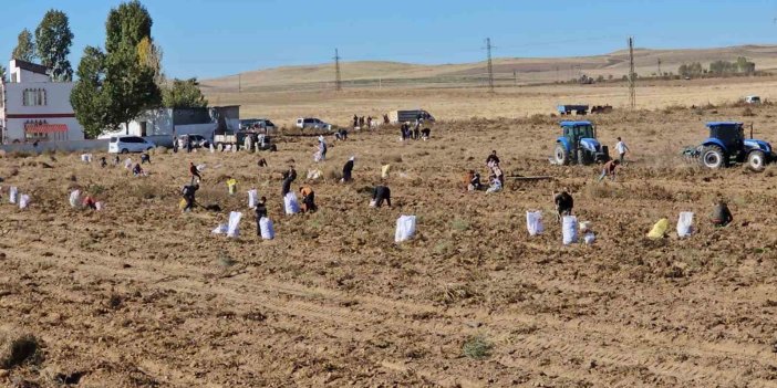 Çiftçi masrafları yüksek olan patatesleri vatandaşlara bedava verdi