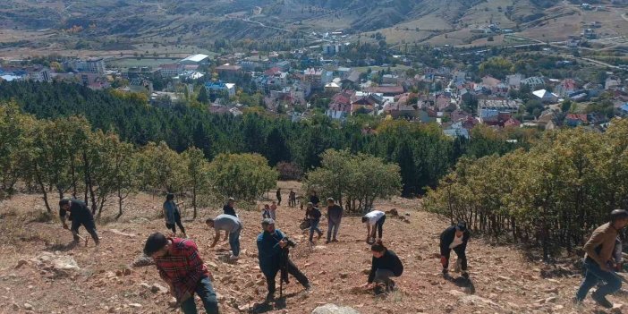 Dersim’de bin meşe palamudu toprakla buluşturuldu