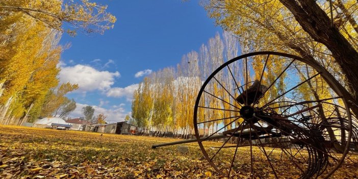 Ağrı'da sararan yapraklar toprakla buluştu