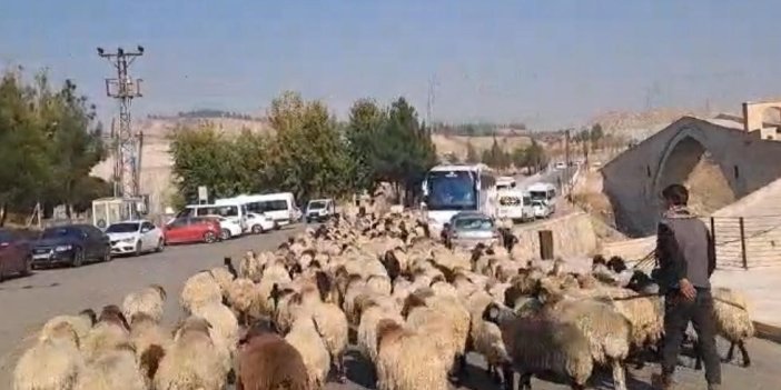 Göçerlerin yaylalardan dönüş yolculuğu devam ediyor