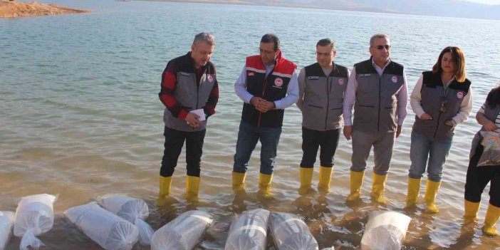 Siirt’te 2 milyon balık baraj göllerine bırakıldı