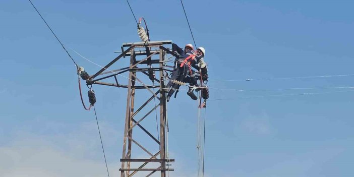 Bitlis'te kış öncesi enerji nakil hatlarında bakım ve onarım çalışması