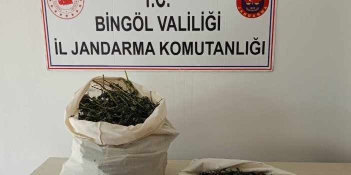 Bingöl’de 7 kilo esrar yakalandı