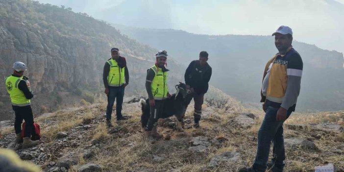 Uçurumda mahsur kalan keçi ERKUT ekiplerince kurtarıldı