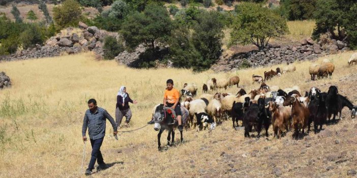 Şahinbey Belediyesi’nin destekleriyle hayvan yetiştiriciliği arttı