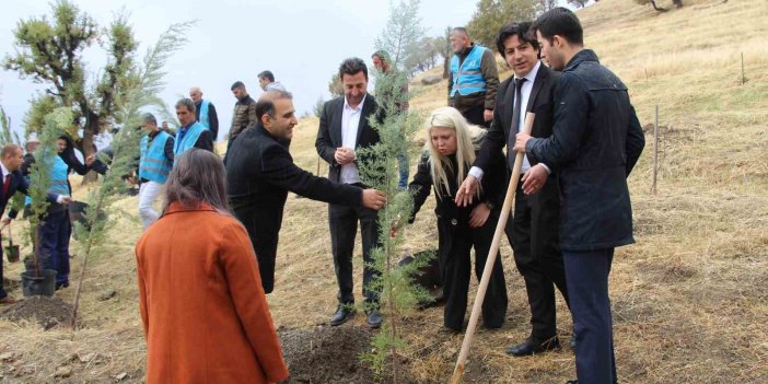 Şırnak'ta geleceğe nefes için fidan dikildi