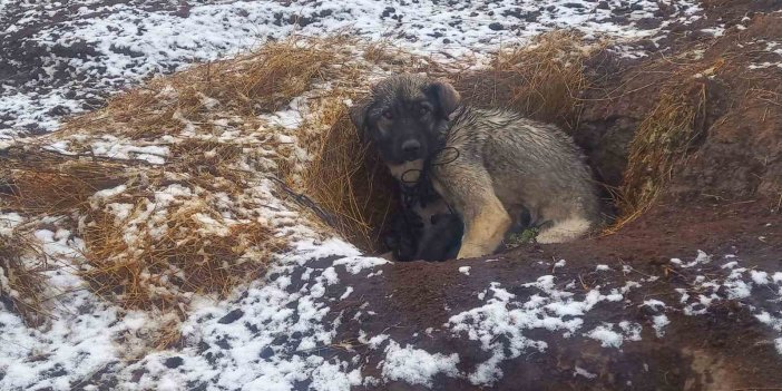 Kars’ta kar etkili oldu