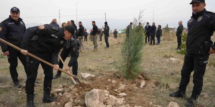 Iğdır’da fidanlar toprakla buluşturuldu