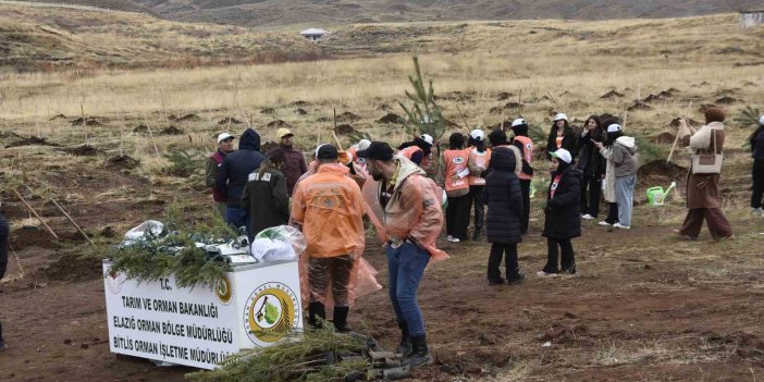 Bitlis’te bin fidan dikildi