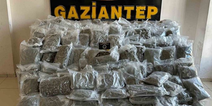 antep’te 104 kilo skunk ele geçirildi