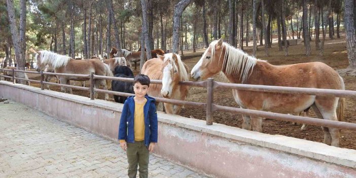 Antep Zoo Parkı’nda bin 100 doğum sevinci yaşandı