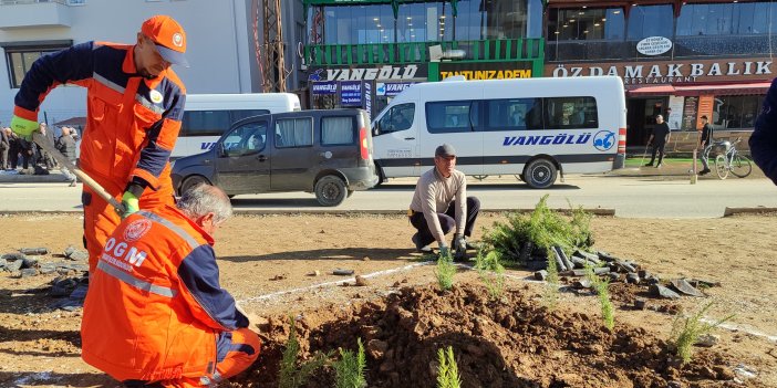 Yüksekova’da orta refüjde ağaçlandırma çalışmaları devam ediyor