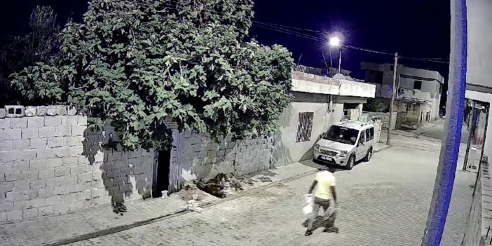 Mardin’de tavuk hırsızlığı kameraya yansıdı