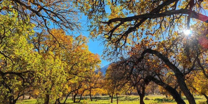 Siirt Zarova Çayı’nda renk cümbüşü oluştu