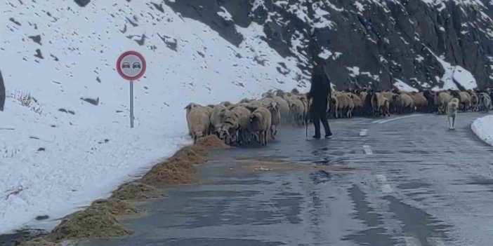 Çatak'ta besicilerin zorlu kış mesaisi başladı