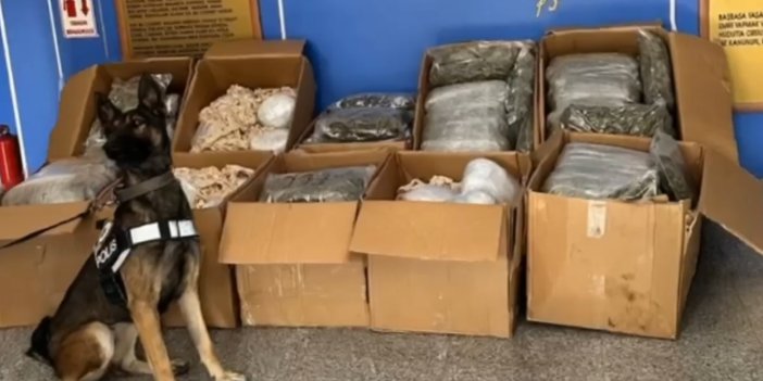 Aksaray'da TIR'da 110 kilo skunk ele geçirildi; 2 tutuklama