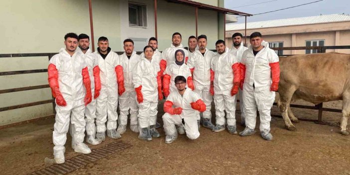 Iğdır’da veteriner sağlık teknisyenlerine suni tohumlama kursu verildi