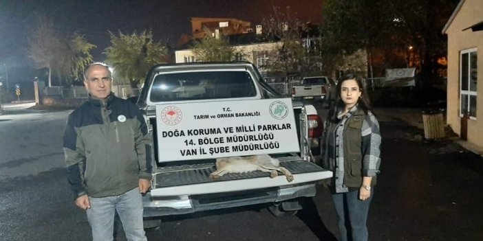 Van’da yasa dışı avlanan şahsa 11 bin lira caza