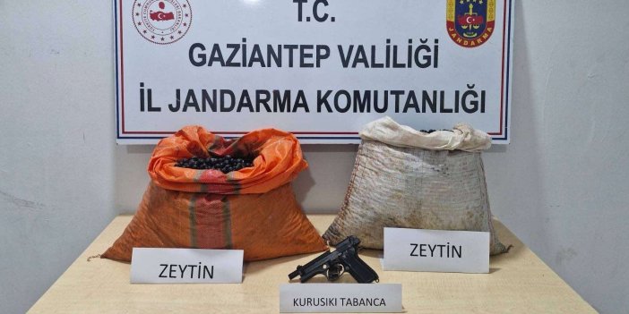 Suçüstü yakalanan zeytin hırsızlığı şüphelisi tutuklandı