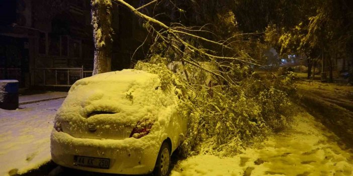 Kardan kırılan ağaç dalları araçların üzerine devrildi