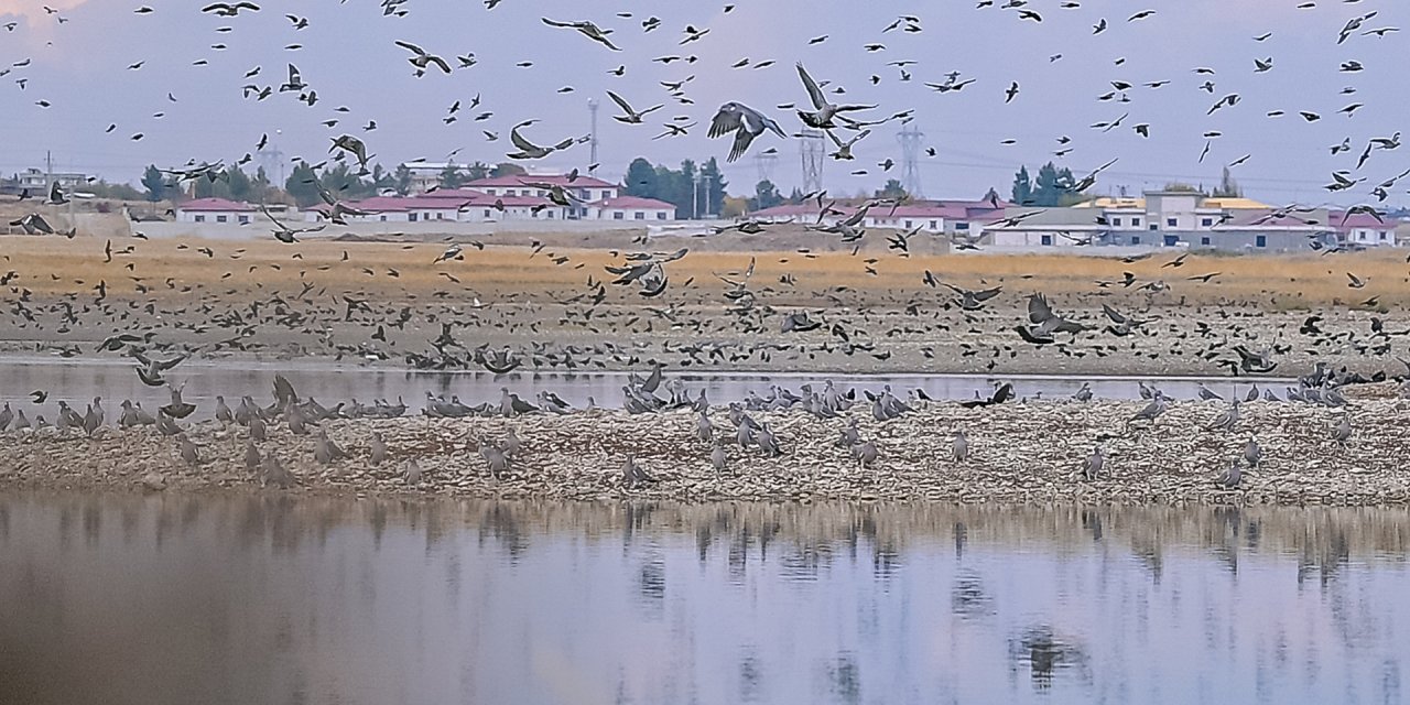 Kabaklı Göleti’nde binlerce kuşun bir arada uçuşu kamerada