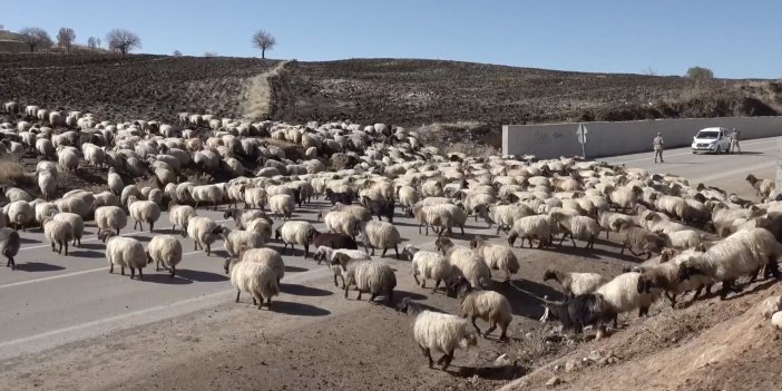 Göçerlerin kışlaklara zorlu yolculuğu devam ediyor