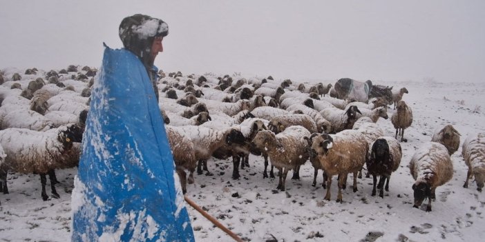 Yaylalardan indirilmeye başlanan koyun sürüsü kar, tipiye yakalandı