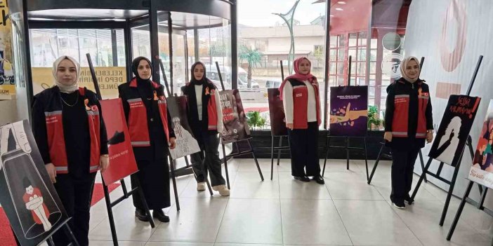 Bingöl’de Kadına Yönelik Şiddetle Mücadele Günü etkinlikleri düzenlendi