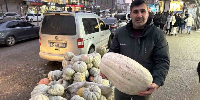 Yüksekova’da kışın vazgeçilmezi bal kabağı tezgahlardaki yerini aldı