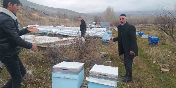 Van'da ayılar kovanlara ve kümes hayvanlarına saldırdı