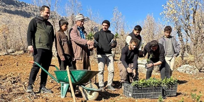 Derecik’te çay üretimi için bir deneme bahçesi kuruldu